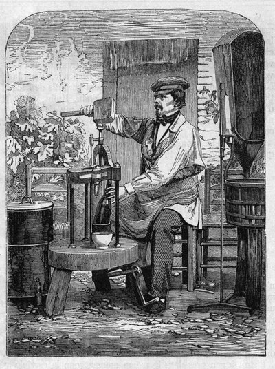 Butelkowanie wina szampana. Grawerunek z 1864 roku. autorstwa Unknown artist