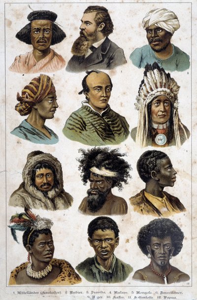 Różne rasy ludzkie - w „Naturalne historie ssaków”, wyd. Schreiber autorstwa Unknown artist