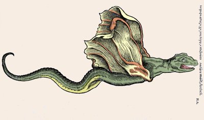 Latający smok Amphiptere (Amphithere or Amphitere or Amphipthere) Grawer w Historia Animalium autorstwa Conrada Gesnera (1516-1565), Tiguri autorstwa Unknown artist