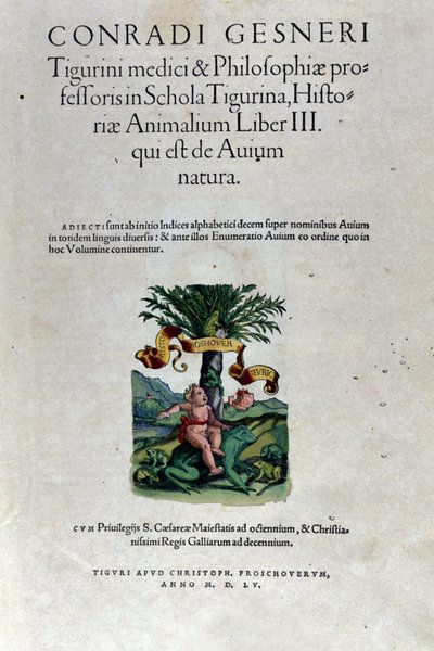 Frontyspis tomu trzeciego Historii Animalium Conrada Gesnera (1516-1565), Tiguri autorstwa Unknown artist