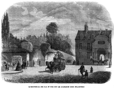 Szpital pitie salpetriere (PITIE-SALPETRIERE) i ogród roślinny w Paryżu w 1858 r. autorstwa Unknown artist