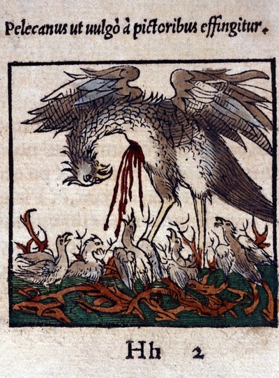 Legenda o pelikanie: oddaje swoją krew i wnętrzności, aby nakarmić swoje młode. Z Historiae animalium Konrada Gesnera, Tiguri autorstwa Unknown artist