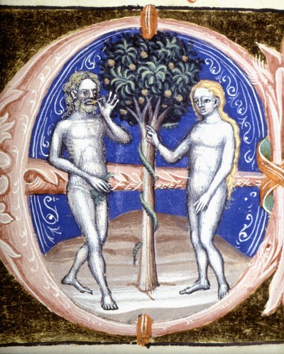 Grzech pierworodny - Miniatura autorstwa Unknown artist