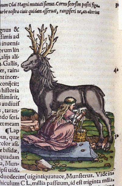 Handel reniferami po Historia animalium Konrada Gesnera, Tiguri autorstwa Unknown artist
