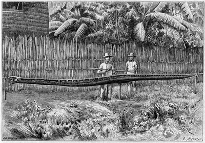 Skóra węża Pythona o długości 6,60 m, schwytanego na Filipinach. (Z fotografii). Grawer w „”La Nature: revue des sciences et de leurs applications aux arts et a l