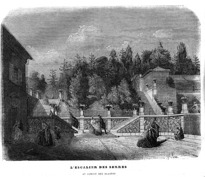 Schody szklarni w ogrodzie roślinnym w Paryżu w 1858 r. autorstwa Unknown artist