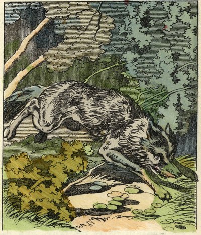Wilk biegnie do domu babci. Ilustracja do bajki „Czerwony Kapturek” Charlesa Perrault autorstwa Unknown artist