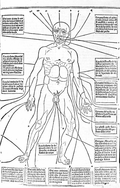 To zdjęcie pokazuje miejsca na ciele lub ćwicz krwawienie w zależności od bólu. Traktat o medycynie autorstwa Gerolamo Cardano (Cardanus Hieronymus), Florencja autorstwa Unknown artist