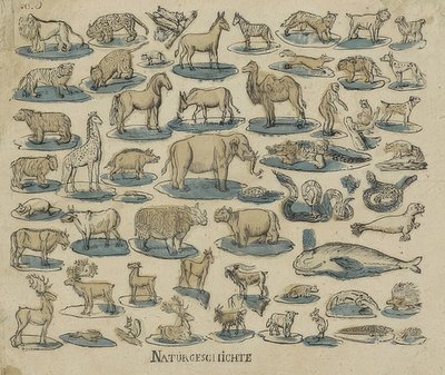 Zwierzęta. 1750-1800 autorstwa Unknown