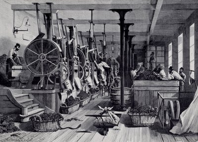 Fabryka tytoniu, pralnia i szaleństwo tytoniu. Grawer około 1867. Paryż, Musee Carnavalet autorstwa Unknown artist