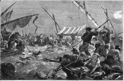 Połów tuńczyka (Pesca al tonno) na wybrzeżu Prowansji. autorstwa Unknown artist
