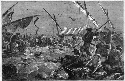 Połów tuńczyka z pułapką na wybrzeżu Prowansji we Francji. Grawerowanie w „”Wspaniałym wszechświecie”” autorstwa Unknown artist