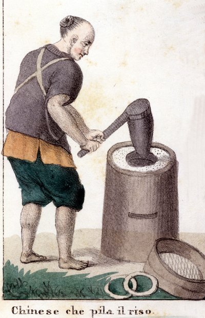 Un chinese qui pille le riz - w uniwersalnym stroju wszystkich narodów świata autorstwa Unknown artist
