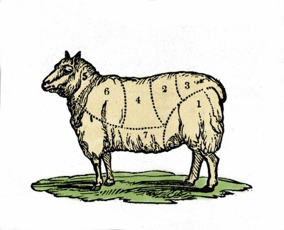 Różne kawałki owiec rzeźnika. Ilustracja z końca XIX wieku. autorstwa Unknown artist