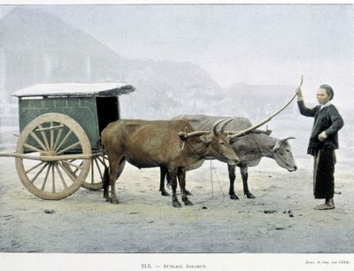 Wietnamski Hitch, „Dookoła świata”, koniec XIX wieku. autorstwa Unknown artist