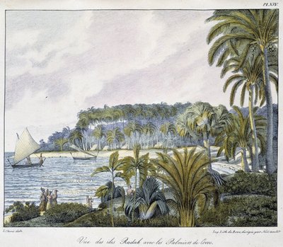 Widok na Wyspy Radak archipelagu Wysp Marshalla. autorstwa Unknown artist
