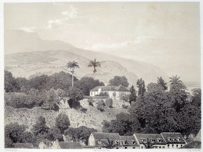 Widok na domy z Boulevard de la Comedie w Saint Pierre na Martynice na Antylach. Druk po fotografii z końca XIX wieku Chartres musee des Beaux Arts autorstwa Unknown artist