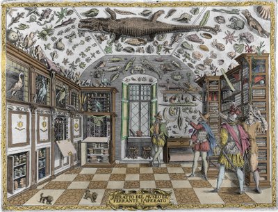 Widok na muzeum (gabinet) osobliwości (muzeum encyklopedyczne) aptekarza Ferrante Imperato (1550 - 1631). Rycina z 1678 r. Muzeum aptekarza neapolitańskiego Ferrante Imperato. autorstwa Unknown artist