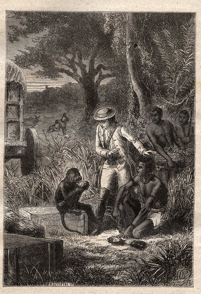 Voyage dans la Caffrerie (Republika Południowej Afryki) (1781) autorstwa Francois Levaillant (Le Vaillant) (1753-1824): Levaillant i jego małpa degustateur Maitre Kees, który degustuje owoce i korzenie, aby sprawdzić, czy są jadalne - ilustracja zaczerpnię autorstwa Unknown artist