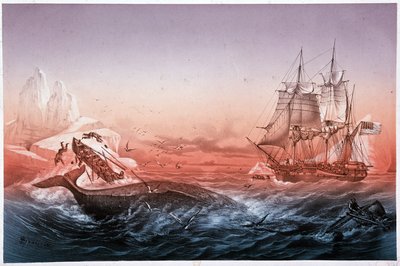 Wielorybniczy statek nie uratował swoich wywróconych łodzi wielorybów autorstwa Unknown artist
