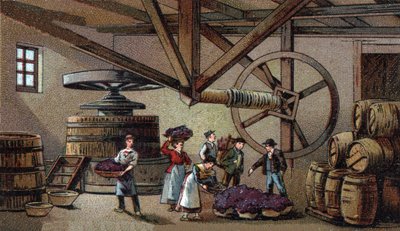 Produkcja wina: tłoczenie wina hospicjum Beaune (clos vougeot). Chromolitografia z końca XIX wieku autorstwa Unknown artist