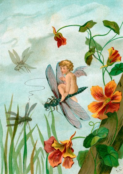 Skrzydlata wróżka lecąca na ważce w pobliżu kwiatów nasturcji autorstwa Unknown artist