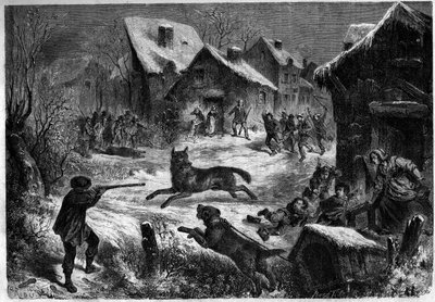 Polowanie na wilki we wsi Saliers, Bouches du Rhone (13), 31 grudnia 1860 r. Grawer „”Le Monde Illustré”” n¡196 z 12 stycznia 1861 r. autorstwa Unknown artist