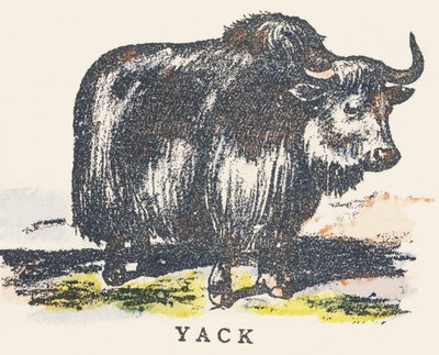 Y: jak autorstwa Unknown artist