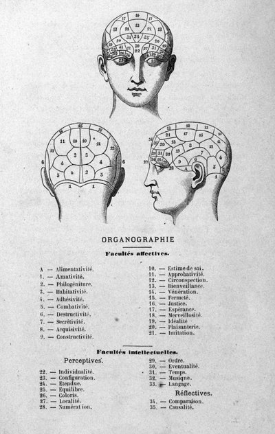 ilustracja z książki Charlesa Rouvina z 1873 r. Organographie La Tête humaine, ilustrowane studia z zakresu frenologii i fizjonomii zastosowane do znanych postaci Paryż 1873 autorstwa Unknown artist