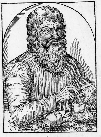 portret Hipokratesa (460-około 377 pne), greckiego lekarza. autorstwa Unknown artist