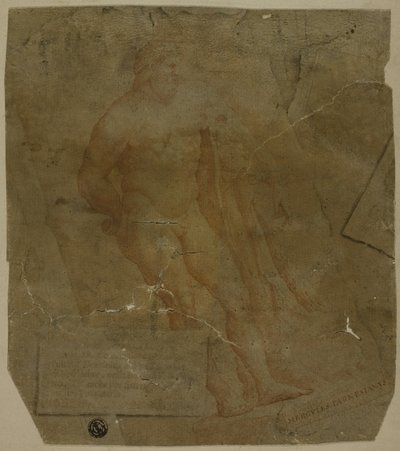Herkules autorstwa Unknown Italian