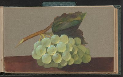 Kiść winogron autorstwa Unknown artist