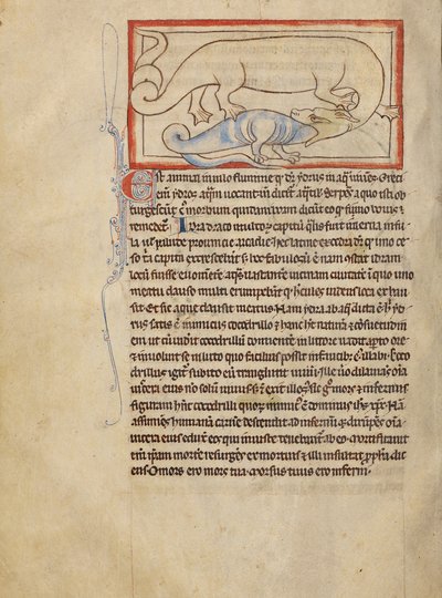 Hydrus autorstwa Unknown artist