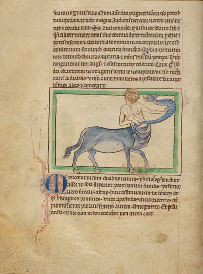 Monocentaurus autorstwa Unknown artist