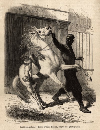 Senegalski spahi (cavalier) w Saint-Louis (Saint Louis). Grawer ilustrujący rejs po wybrzeżu Afryki, autorstwa wiceadmirała Fleuriot de Langle, w 1868 r., opublikowany w „Le tour du monde”” 1872, pod redakcją Edouarda Chartona, wyd. Hachette, Paryż. autorstwa Unknown artist