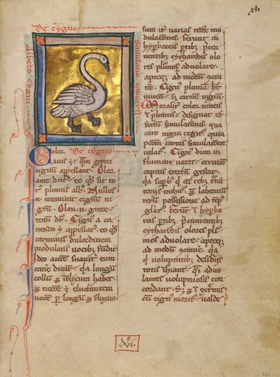 A Swan autorstwa Unknown artist