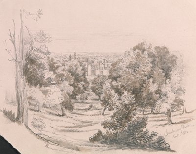 Widok Danbury Park autorstwa Unknown artist