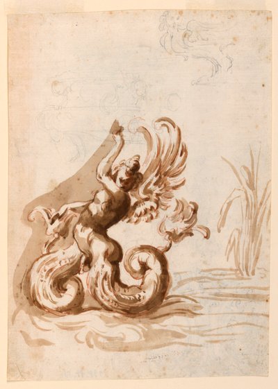 Skrzydlaty mera Hermafrodyta i szkice do miski autorstwa Unknown artist