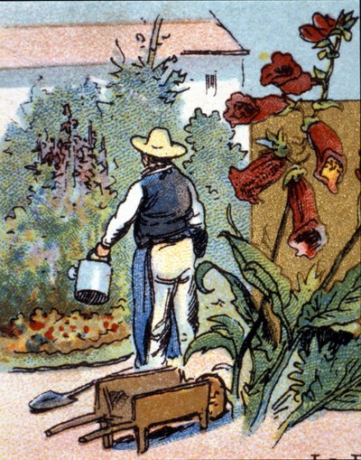 Ogrodnik, chromolitografia autorstwa Unknown artist