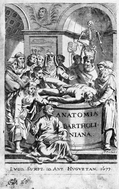 Lekon anatomii Frontispice pochodzi z „Anatomia Reformata” Thomasa Bartholina (1616-80) (Bartholinus) 1677 autorstwa Unknown artist