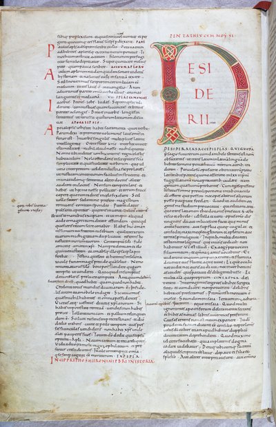 Strona z XI-wiecznej Biblii z wielką literą D autorstwa Unknown artist