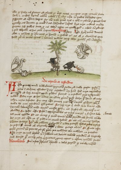 Orzeł chwytający ślimaka; Wrona dziobiąca ślimaka autorstwa Unknown artist