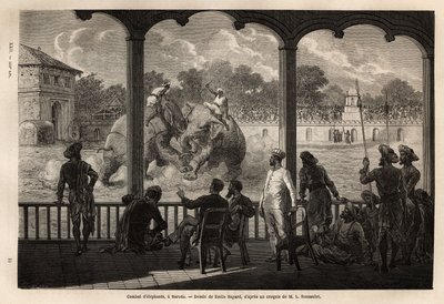 Walka słoni w Baroda (lub Vadodara), stanie Gujarat na północno-wschodnim wybrzeżu Indii. Rycina ilustrująca podróż radżów do Indii, autorstwa Louisa Rousseleta, w latach 1864-1868, opublikowana w „Le tour du monde”” 1870-1871, pod redakcją Edouarda Charto autorstwa Unknown artist