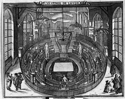 Teatr anatomiczny Uniwersytetu w Leiden, koniec XVII wieku. autorstwa Unknown artist