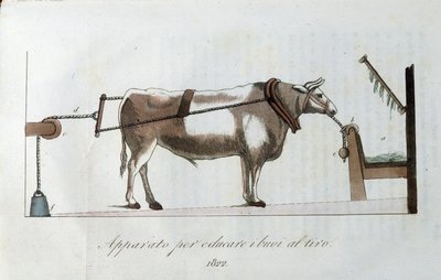 Aparatura do przyzwyczajania wołów do linii. Tabliczka zaczerpnięta z „Journal of Agriculture, arts and technology”” (Revue d