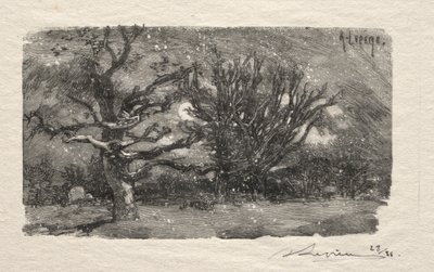 Mają akademiki Lantara autorstwa Unknown artist