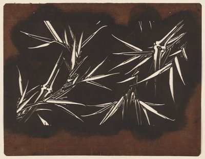 Bambus autorstwa Unknown artist