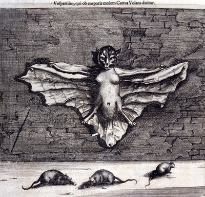 Nietoperze i szczury. „De China Monumenta” Athanasiusa Kircher autorstwa Unknown artist