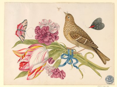 Ptak z tulipanem, goździkiem, motylami i owadem autorstwa Unknown artist