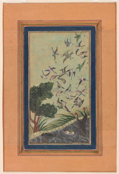 Ptaki w Baran, prawdopodobnie z Babur-nama autorstwa Unknown artist